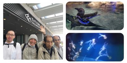 スカイツリーでお馴染みの隅田にある【すみだ水族館】へ行ってきました♬
スカイツリーの大きさに圧倒されながら水族館までの道中を楽しんでいましたが、外国人観光客と中学生の団体の多さにさらに圧倒されてしまいました。